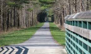 Straight section of Chief Ladiga Trail through the trees