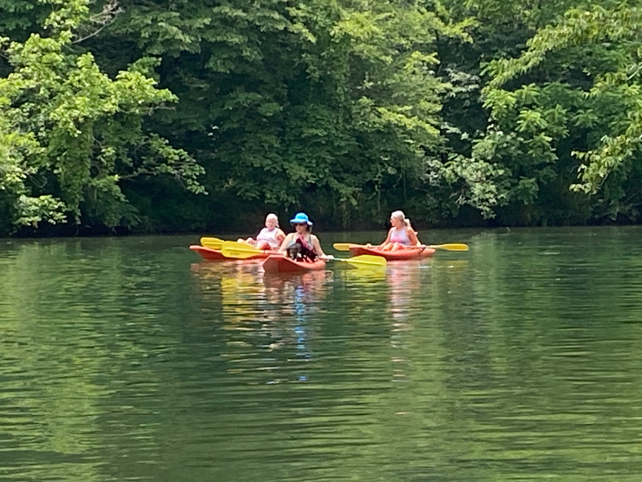 Family kayaking on Terrapin Creek near Piedmont, Alabama